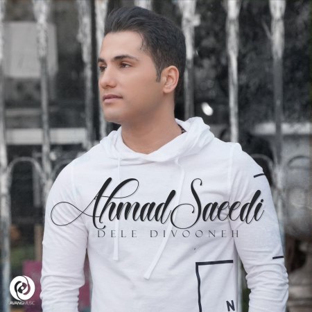 دانلود آهنگ جدید احمد سعیدی به نام دل دیوونه