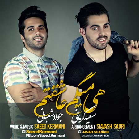 دانلود آهنگ جدید سعید کرمانی به نام هی میگم عاشقتم